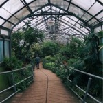 The interior of an Allan Gardens glasshouse in Toronto, Ontario, Canada.