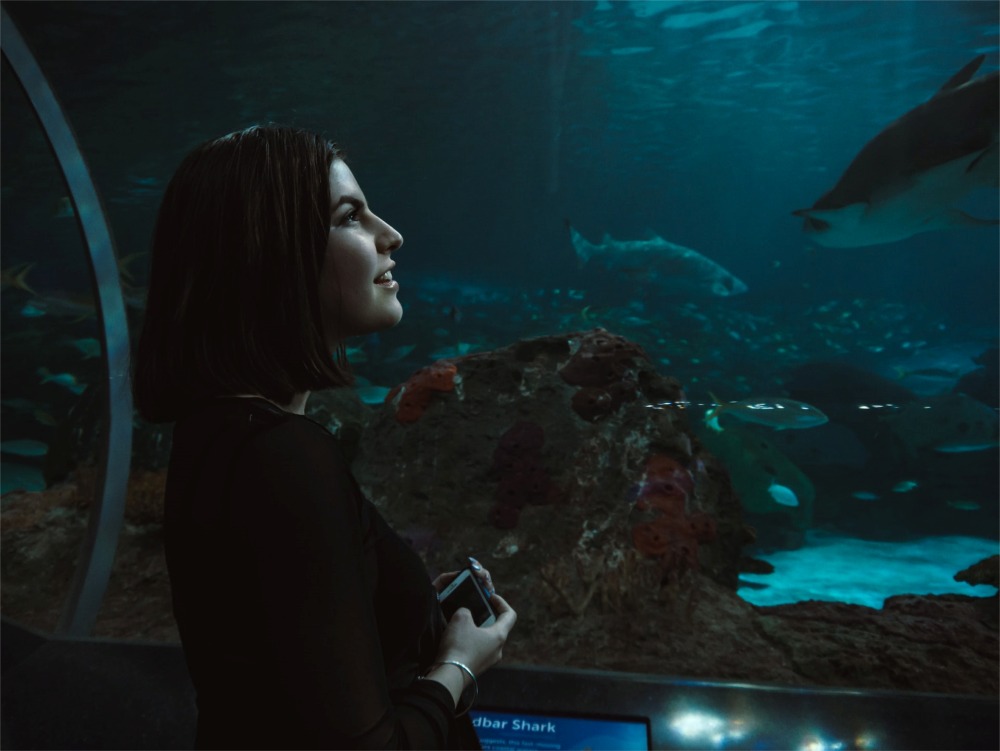 A photograph inside the Ripley's Aquarium of Canada in Toronto, Ontario. It shows a patron viewing the aquatic life from an acrylic glass tunnel.