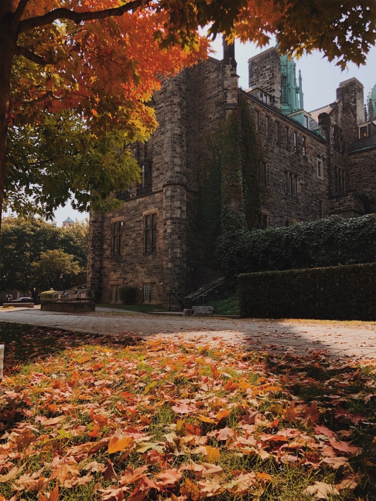 Photograph of The University of Toronto, St George Campus, Kings College Circle in Toronto, Ontario, Canada.