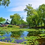 Photograph from the park on Centre Island, Toronto, Ontario, Canada.