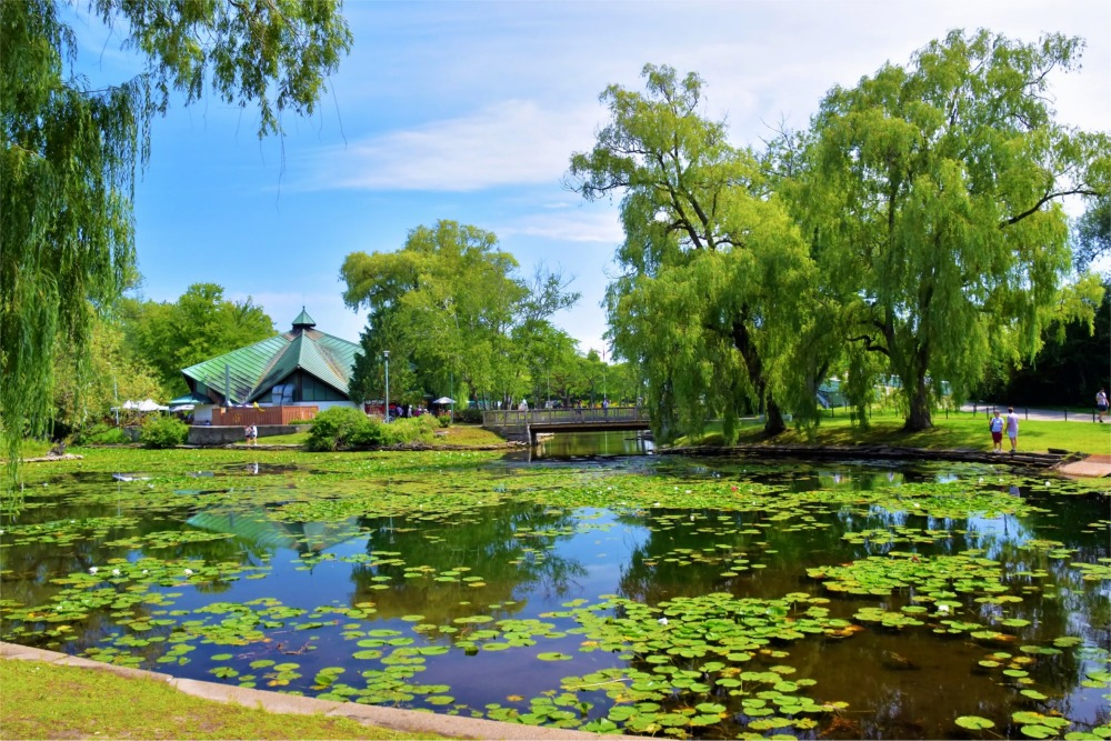 Photograph from the park on Centre Island, Toronto, Ontario, Canada.