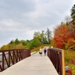 Two women walking across a bridge in the Rouge National Urban Park, Toronto, Ontario, Canada.