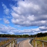 A person walking across a walkway / boardwalk in the Rouge National Urban Park.