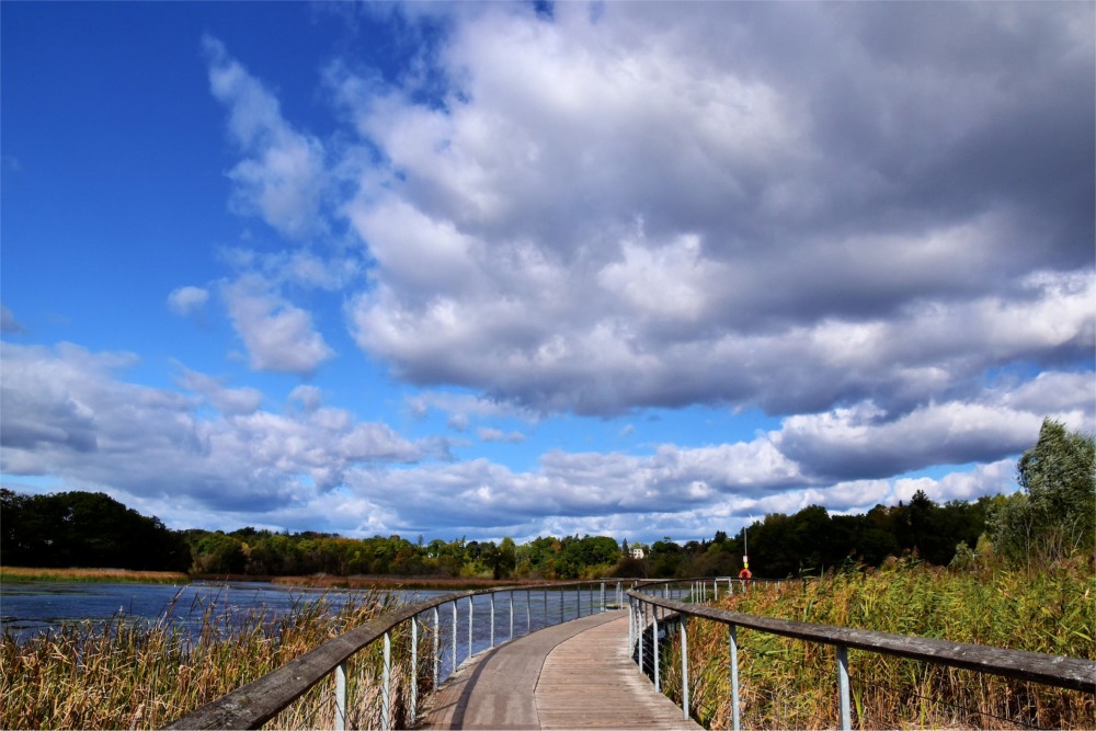 Photograph of a person walking across a walkway / boardwalk in the Rouge National Urban Park, Toronto, Ontario, Canada.