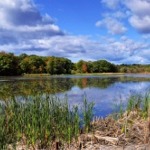 Trees and a body of water in the Rouge National Urban Park.