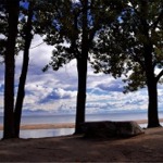 A lovely Photograph of three trees on the beach of Lake Ontario in the Rouge National Urban Park.