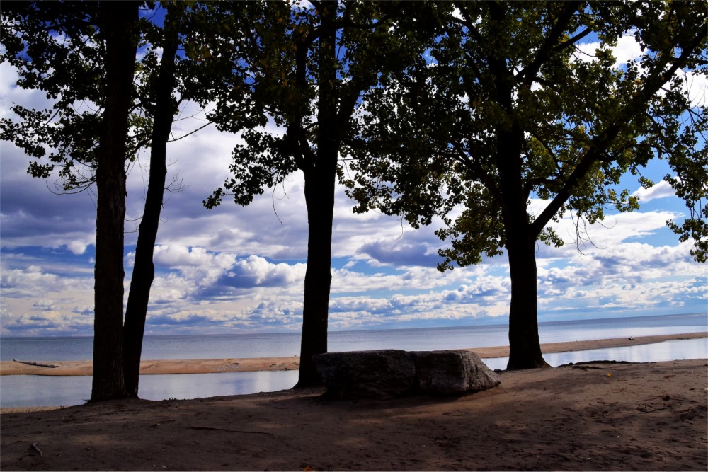 A lovely Photograph of three trees on the beach of Lake Ontario in the Rouge National Urban Park, Toronto, Ontario, Canada.
