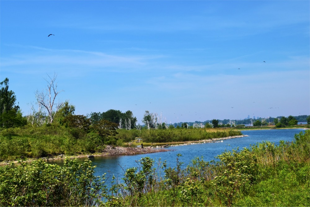 Photograph from Tommy Thompson Park, Toronto, Ontario, Canada.