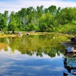 Photograph from Tommy Thompson Park, Toronto, Ontario, Canada.