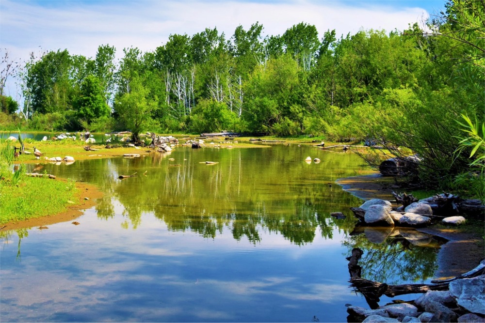 Photograph from Tommy Thompson Park, Toronto, Ontario, Canada.