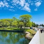 It's a beautiful fine summer's day on Centre Island Toronto and we can see people strolling along Avenue of the Island.