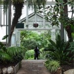 The interior of an Allan Gardens glasshouse in Toronto, Ontario, Canada.