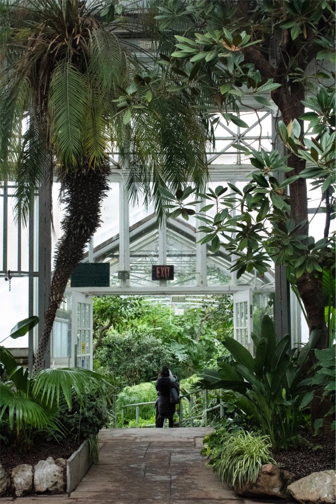 The interior of an Allan Gardens glasshouse in Toronto, Ontario, Canada.