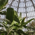 The interior of the Allan Gardens Children's Conservatory in Toronto, Ontario, Canada.