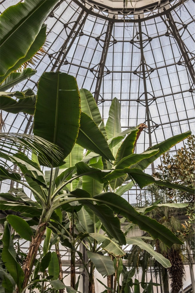 The interior of the Allan Gardens Children's Conservatory in Toronto, Ontario, Canada.