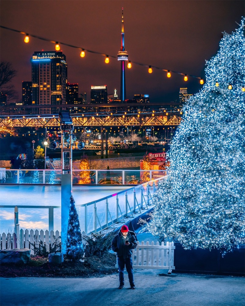 The Ontario Place Ice Rink in winter near an illuminated tree with the CN Tower in the background.